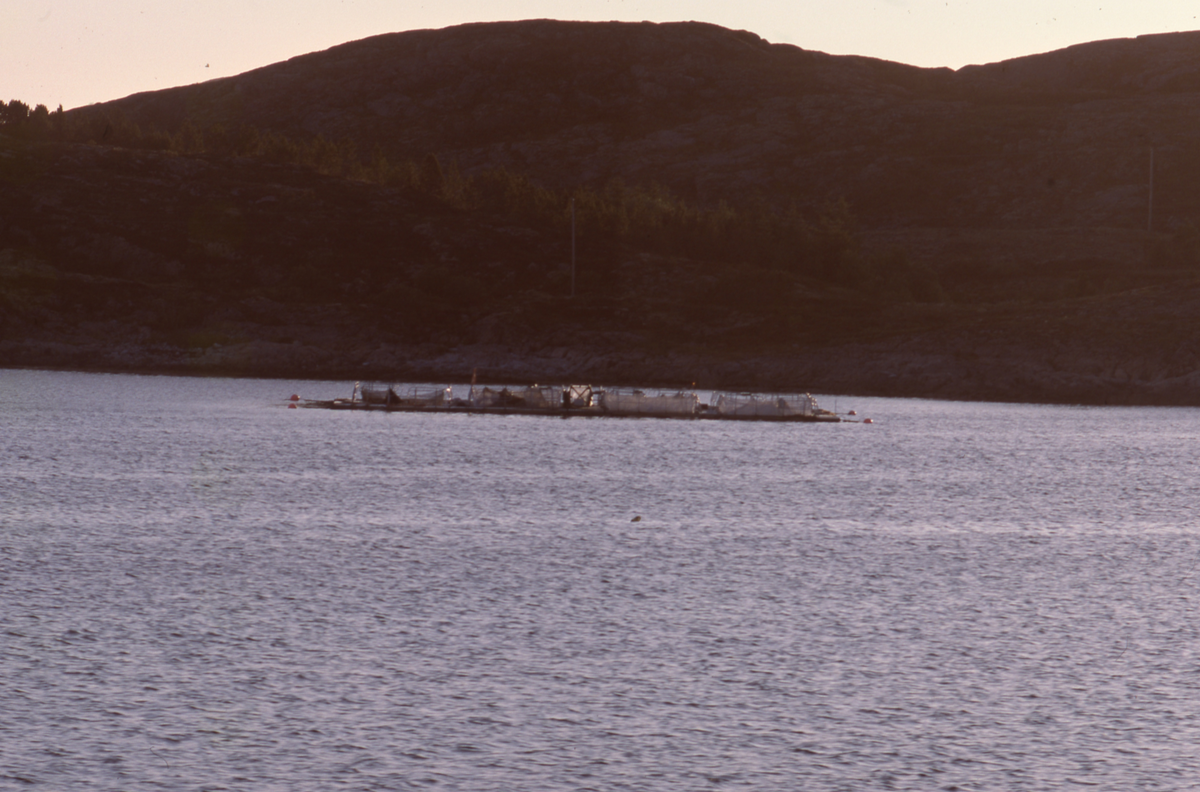 Utsikt mot oppdretsanlegg