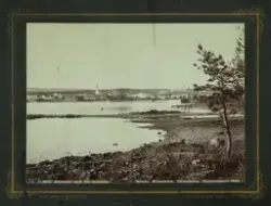 Hamar, bypanorama sett fra Tjuvholmen, Hamarbukta,