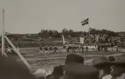 Hamar, Utstillingplassen, det 6. nasjonale turnstevnet i 190