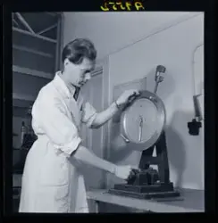 Fotograferat för Statens Skogsindustrier.