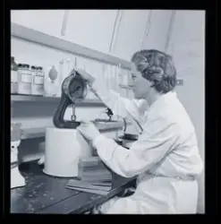 Fotograferat för Statens Skogsindustrier.