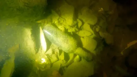 Glasflaska i Karlbergskanalen vid Lilla Hornsberg.