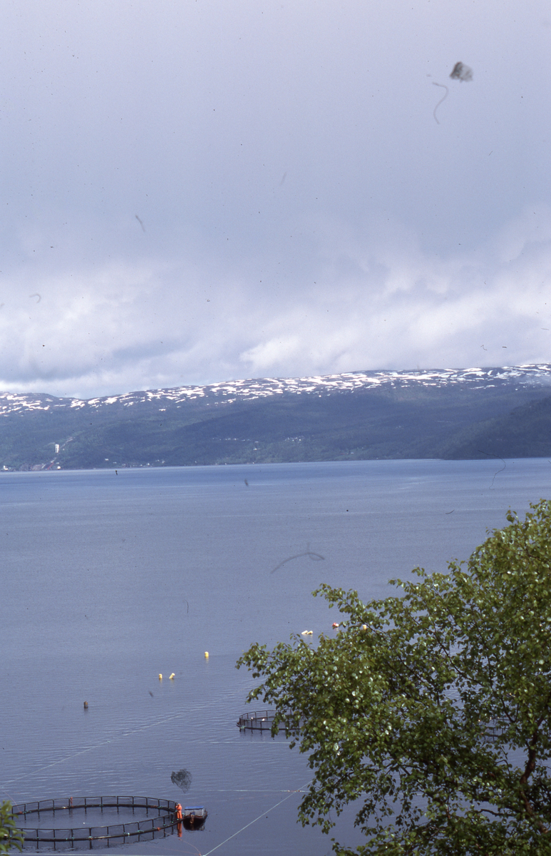 Utsikt mot oppdrettsanlegg