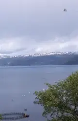 Utsikt mot oppdrettsanlegg