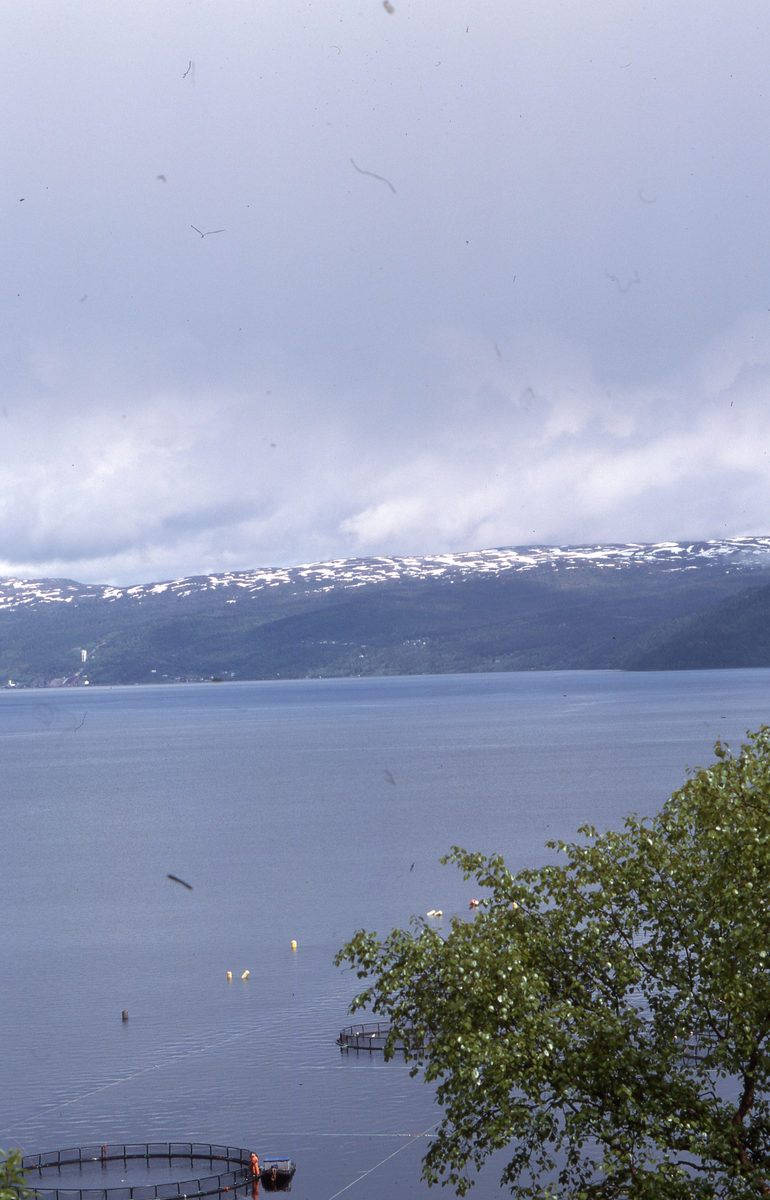 Utsikt mot oppdrettsanlegg