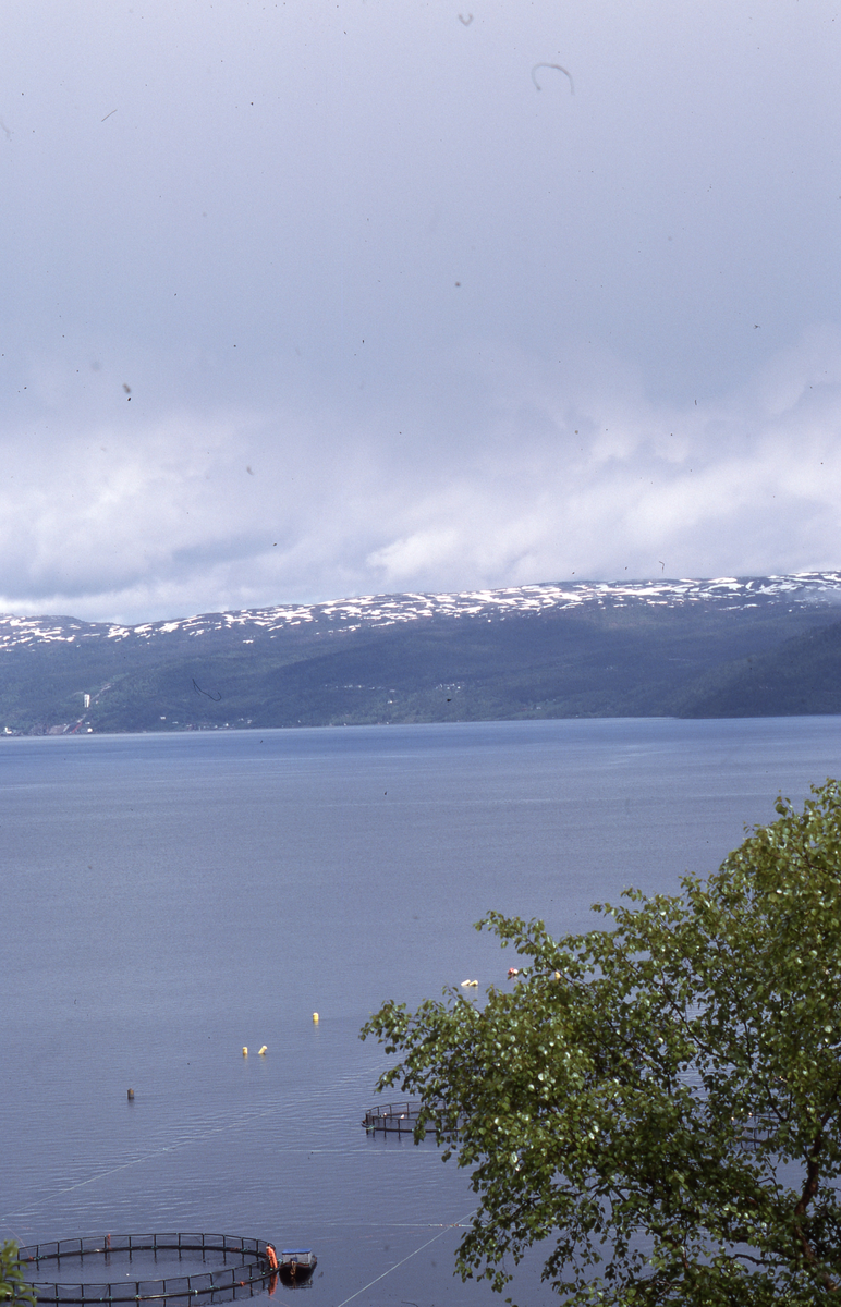Utsikt mot oppdrettsanlegg
