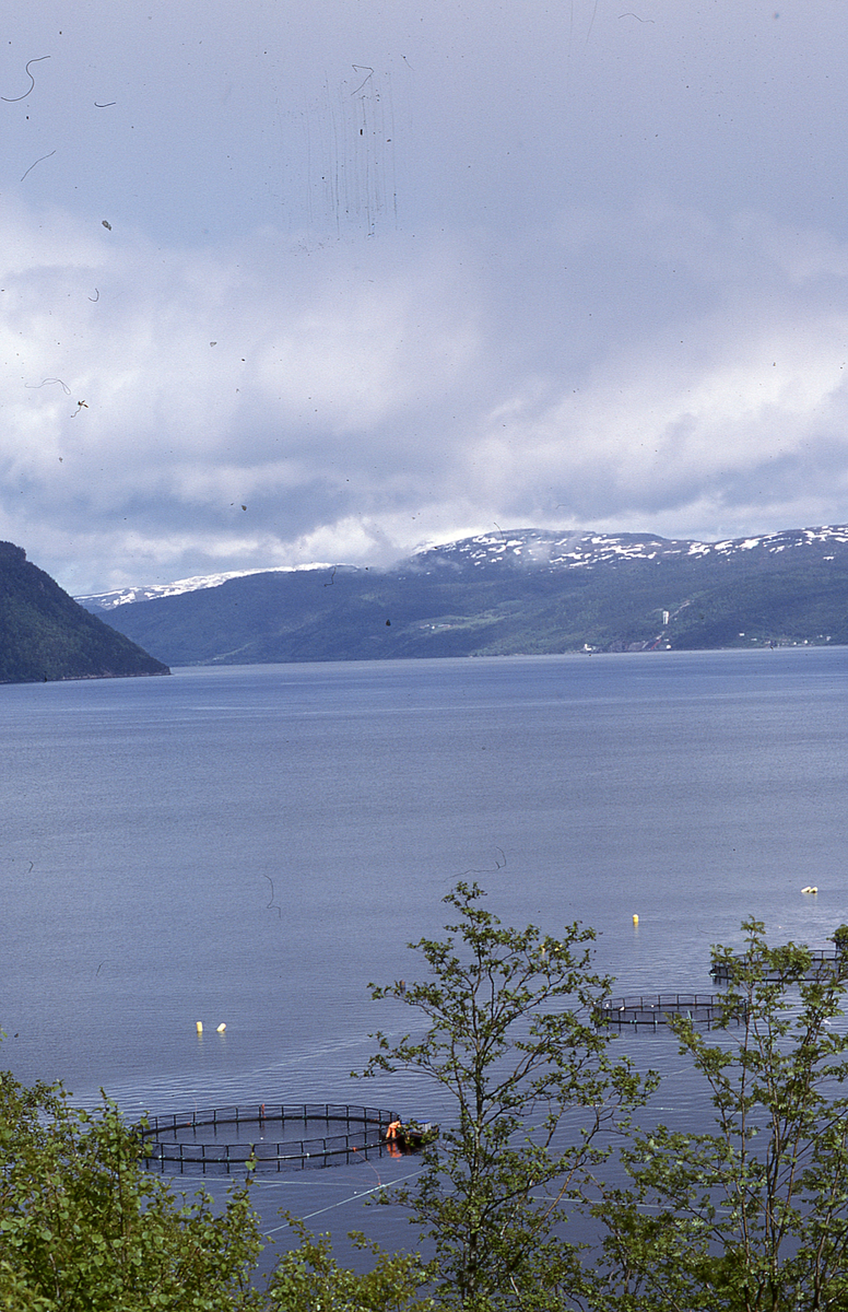 Utsikt mot oppdrettsanlegg