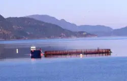 Båt ved oppdettsmerde