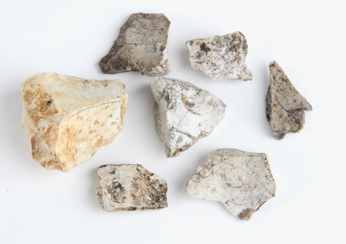 Sju stycken brända flintbitar.