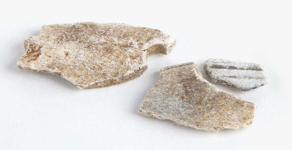 3 fragment av en kam.