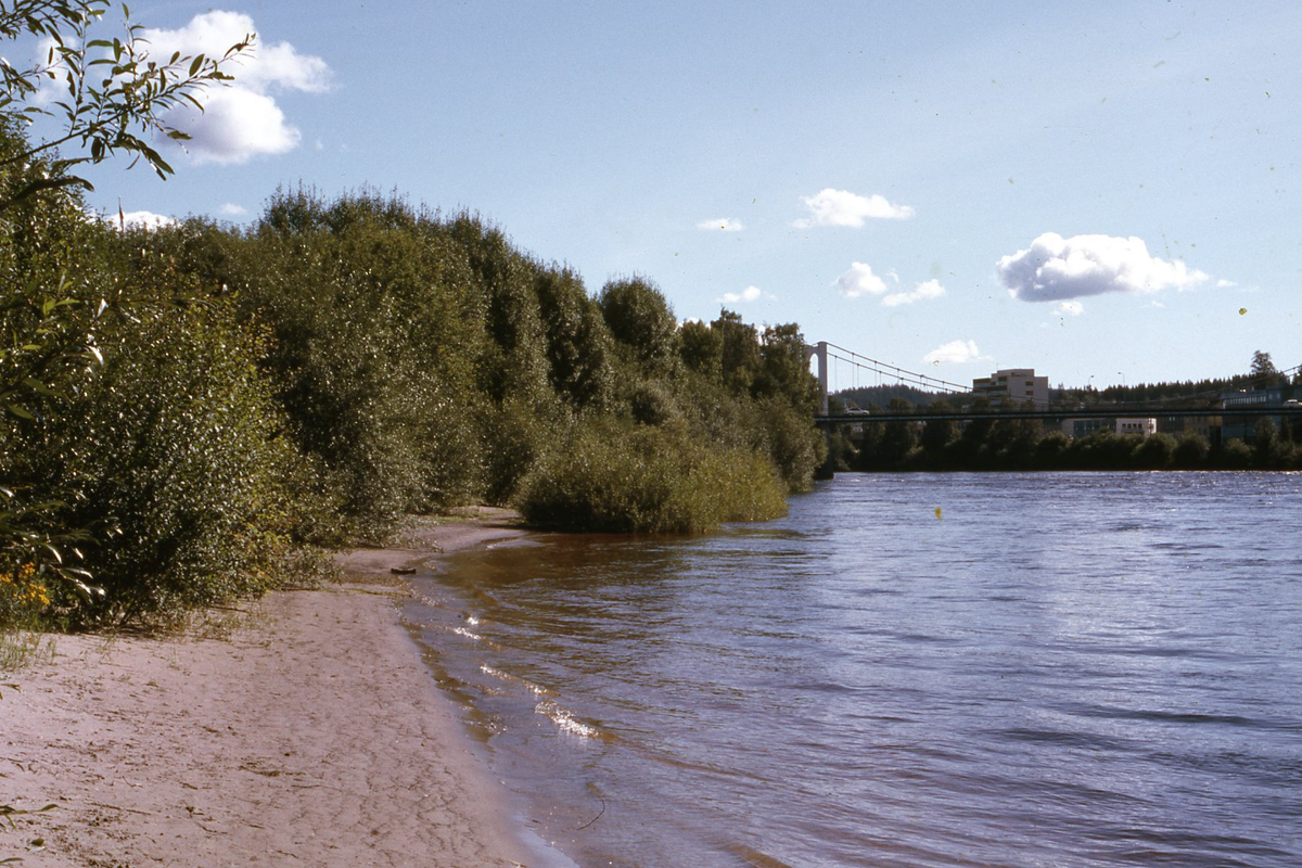 Midtbyen – strandkant mot Glomma