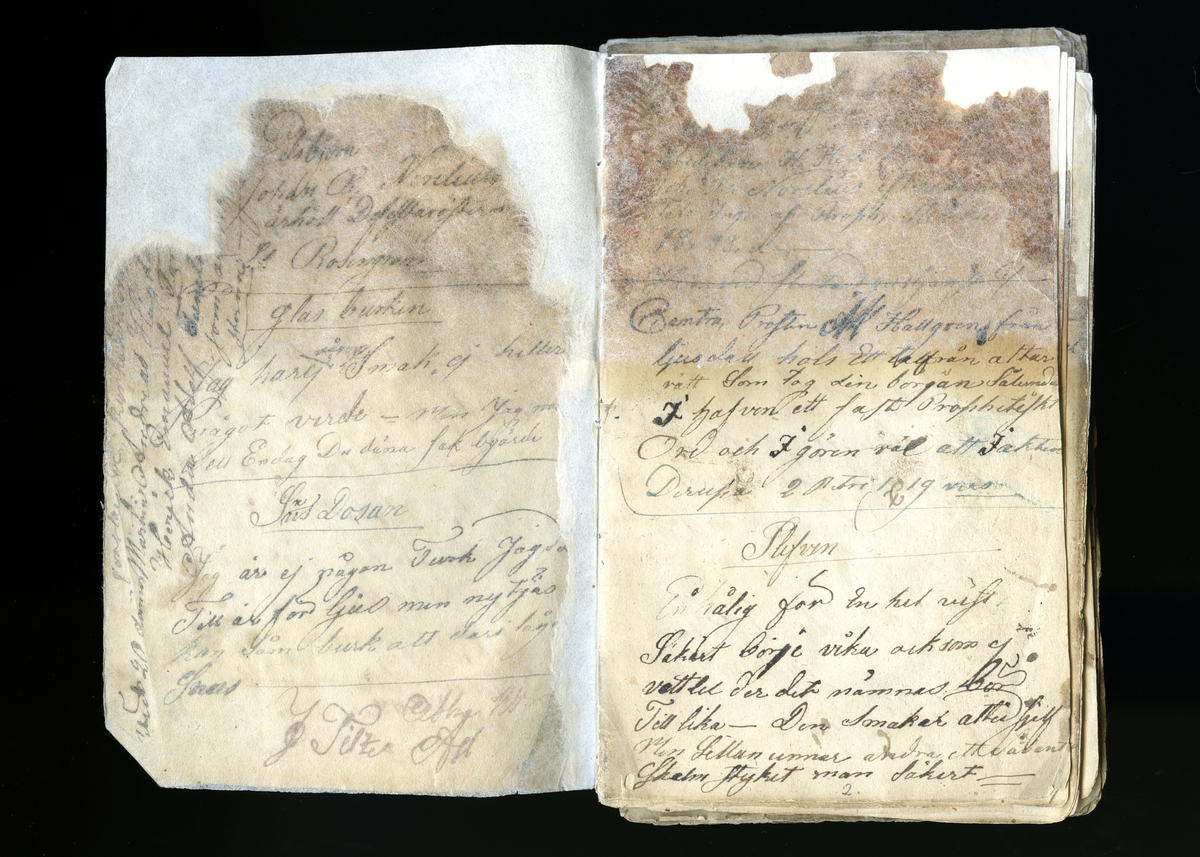 Dagböcker och andra anteckningar förda av storbonden och bössmeden Jonas Olsson (1832-1895) i Fågelsjö, Los mellan åren 1851 och 1892. Dagböckerna berör vardagens arbete, händelser i familjen och byn, förtretligheter, glädjeämnen och sorg. Böckerna förda i varierande frekvens med både dagliga och strödda anteckningar. Hela luckor år 1862-63, 1870-78, 1880-83 samt 1885-56. Dagboken förd i böcker med blandat innehåll, där dagboksanteckningarna är instoppade. Jonas Olssons dagboksanteckningar finns även transkriberade och publicerade i boken "Min hand är icke begåfvad att föra en skikliger penna", 2009.
