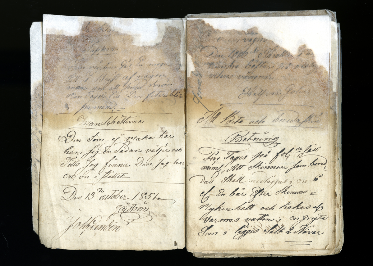 Dagböcker och andra anteckningar förda av storbonden och bössmeden Jonas Olsson (1832-1895) i Fågelsjö, Los mellan åren 1851 och 1892. Dagböckerna berör vardagens arbete, händelser i familjen och byn, förtretligheter, glädjeämnen och sorg. Böckerna förda i varierande frekvens med både dagliga och strödda anteckningar. Hela luckor år 1862-63, 1870-78, 1880-83 samt 1885-56. Dagboken förd i böcker med blandat innehåll, där dagboksanteckningarna är instoppade. Jonas Olssons dagboksanteckningar finns även transkriberade och publicerade i boken "Min hand är icke begåfvad att föra en skikliger penna", 2009.
