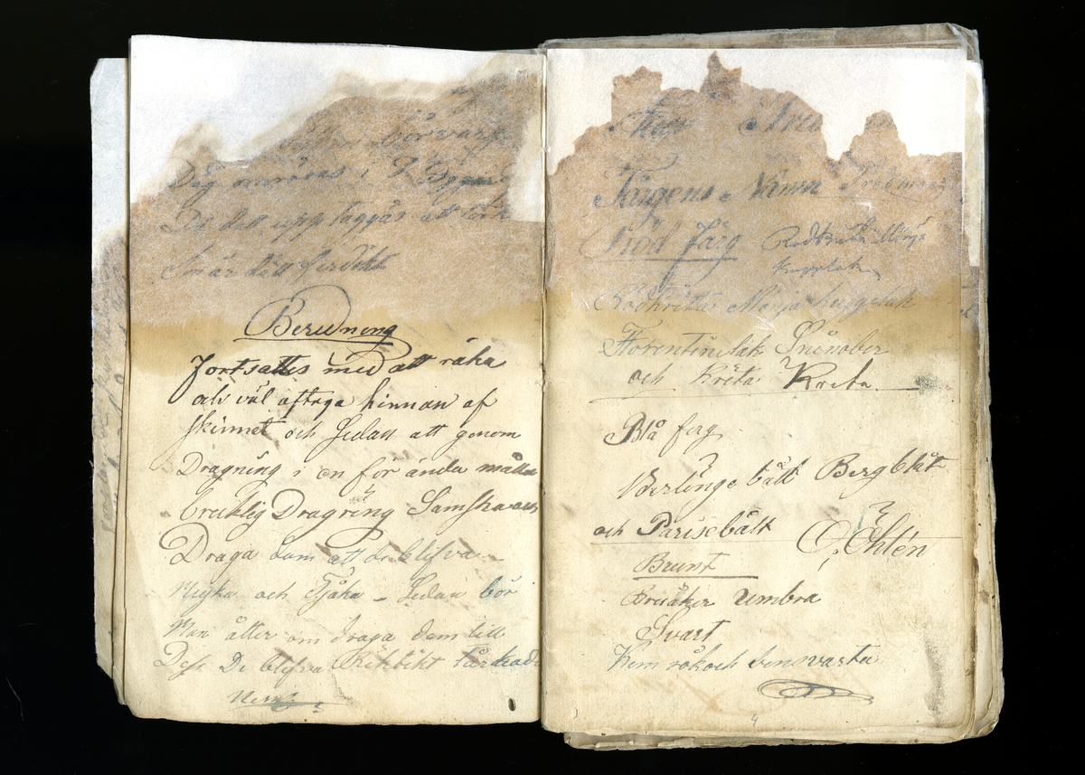 Dagböcker och andra anteckningar förda av storbonden och bössmeden Jonas Olsson (1832-1895) i Fågelsjö, Los mellan åren 1851 och 1892. Dagböckerna berör vardagens arbete, händelser i familjen och byn, förtretligheter, glädjeämnen och sorg. Böckerna förda i varierande frekvens med både dagliga och strödda anteckningar. Hela luckor år 1862-63, 1870-78, 1880-83 samt 1885-56. Dagboken förd i böcker med blandat innehåll, där dagboksanteckningarna är instoppade. Jonas Olssons dagboksanteckningar finns även transkriberade och publicerade i boken "Min hand är icke begåfvad att föra en skikliger penna", 2009.
