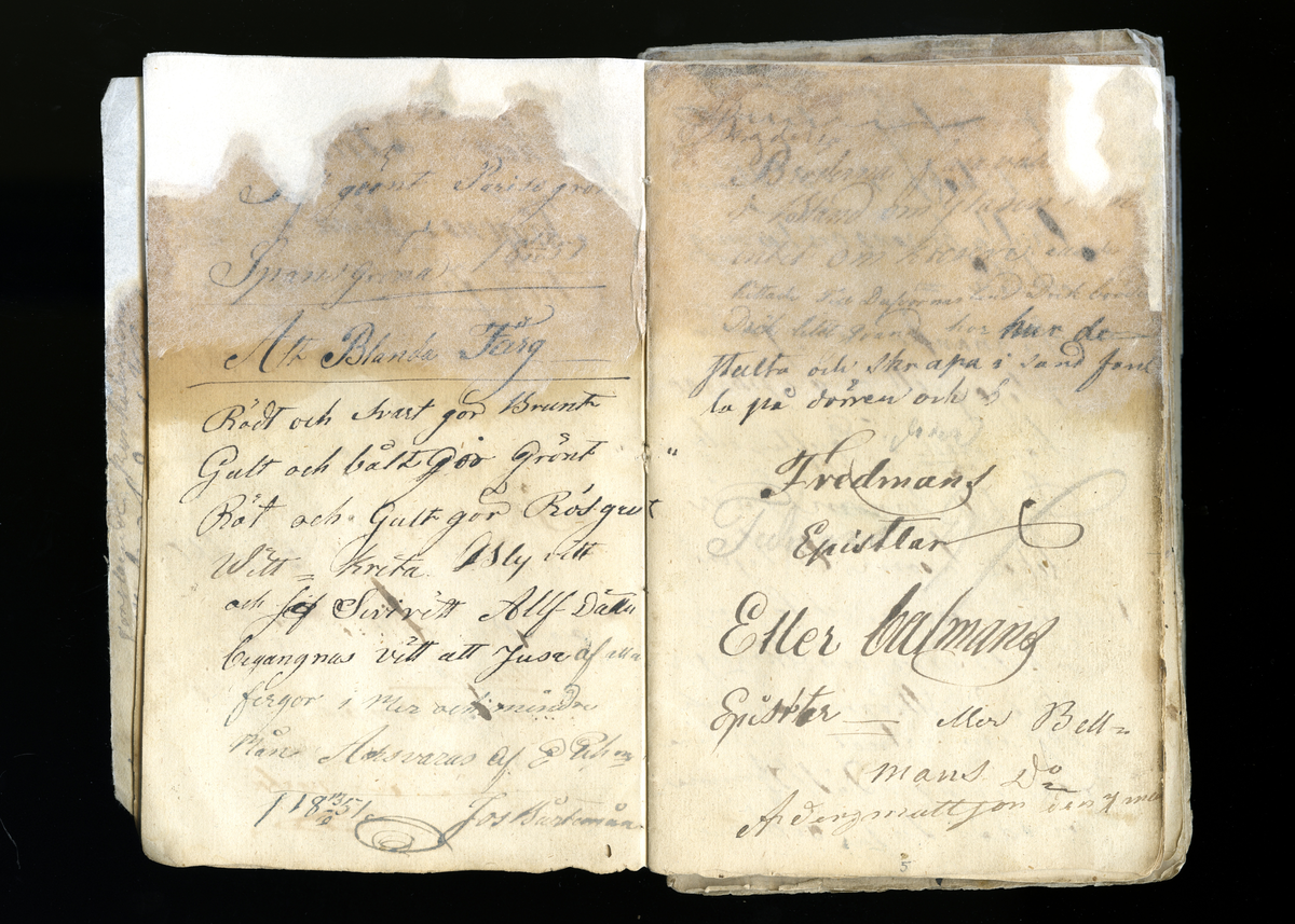 Dagböcker och andra anteckningar förda av storbonden och bössmeden Jonas Olsson (1832-1895) i Fågelsjö, Los mellan åren 1851 och 1892. Dagböckerna berör vardagens arbete, händelser i familjen och byn, förtretligheter, glädjeämnen och sorg. Böckerna förda i varierande frekvens med både dagliga och strödda anteckningar. Hela luckor år 1862-63, 1870-78, 1880-83 samt 1885-56. Dagboken förd i böcker med blandat innehåll, där dagboksanteckningarna är instoppade. Jonas Olssons dagboksanteckningar finns även transkriberade och publicerade i boken "Min hand är icke begåfvad att föra en skikliger penna", 2009.
