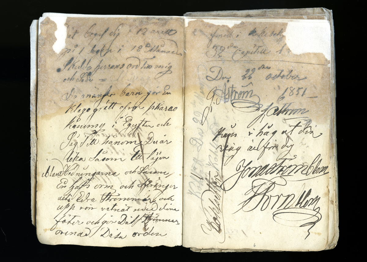 Dagböcker och andra anteckningar förda av storbonden och bössmeden Jonas Olsson (1832-1895) i Fågelsjö, Los mellan åren 1851 och 1892. Dagböckerna berör vardagens arbete, händelser i familjen och byn, förtretligheter, glädjeämnen och sorg. Böckerna förda i varierande frekvens med både dagliga och strödda anteckningar. Hela luckor år 1862-63, 1870-78, 1880-83 samt 1885-56. Dagboken förd i böcker med blandat innehåll, där dagboksanteckningarna är instoppade. Jonas Olssons dagboksanteckningar finns även transkriberade och publicerade i boken "Min hand är icke begåfvad att föra en skikliger penna", 2009.
