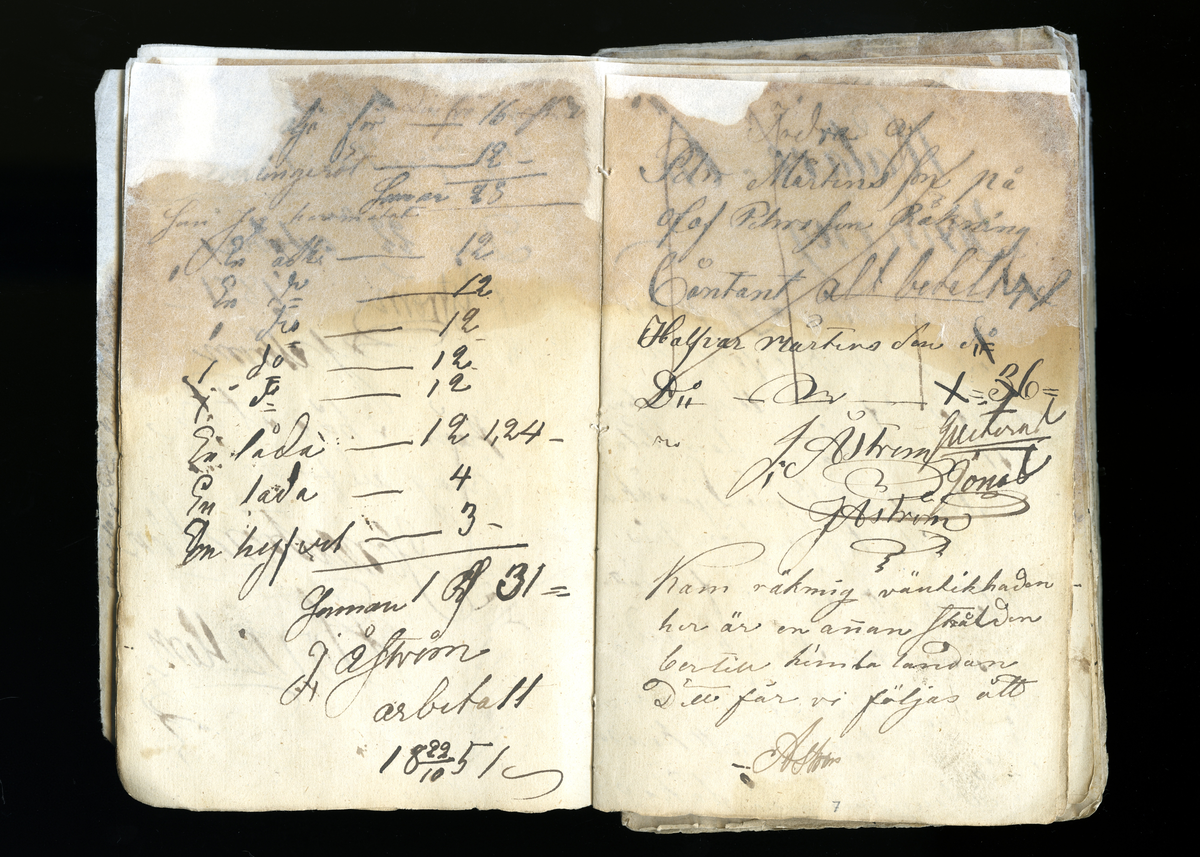 Dagböcker och andra anteckningar förda av storbonden och bössmeden Jonas Olsson (1832-1895) i Fågelsjö, Los mellan åren 1851 och 1892. Dagböckerna berör vardagens arbete, händelser i familjen och byn, förtretligheter, glädjeämnen och sorg. Böckerna förda i varierande frekvens med både dagliga och strödda anteckningar. Hela luckor år 1862-63, 1870-78, 1880-83 samt 1885-56. Dagboken förd i böcker med blandat innehåll, där dagboksanteckningarna är instoppade. Jonas Olssons dagboksanteckningar finns även transkriberade och publicerade i boken "Min hand är icke begåfvad att föra en skikliger penna", 2009.
