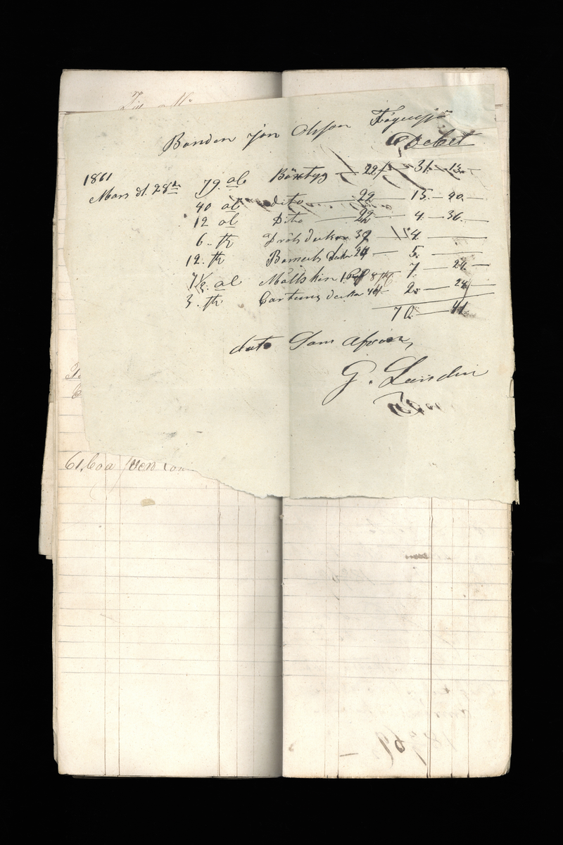 Dagböcker och andra anteckningar förda av storbonden och bössmeden Jonas Olsson (1832-1895) i Fågelsjö, Los mellan åren 1851 och 1892. Dagböckerna berör vardagens arbete, händelser i familjen och byn, förtretligheter, glädjeämnen och sorg. Böckerna förda i varierande frekvens med både dagliga och strödda anteckningar. Hela luckor år 1862-63, 1870-78, 1880-83 samt 1885-56. Dagboken förd i böcker med blandat innehåll, där dagboksanteckningarna är instoppade. Jonas Olssons dagboksanteckningar finns även transkriberade och publicerade i boken "Min hand är icke begåfvad att föra en skikliger penna", 2009.
