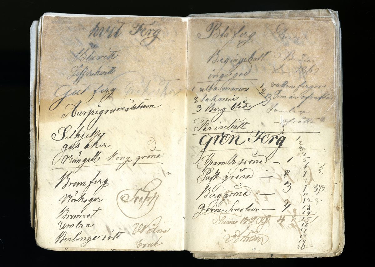 Dagböcker och andra anteckningar förda av storbonden och bössmeden Jonas Olsson (1832-1895) i Fågelsjö, Los mellan åren 1851 och 1892. Dagböckerna berör vardagens arbete, händelser i familjen och byn, förtretligheter, glädjeämnen och sorg. Böckerna förda i varierande frekvens med både dagliga och strödda anteckningar. Hela luckor år 1862-63, 1870-78, 1880-83 samt 1885-56. Dagboken förd i böcker med blandat innehåll, där dagboksanteckningarna är instoppade. Jonas Olssons dagboksanteckningar finns även transkriberade och publicerade i boken "Min hand är icke begåfvad att föra en skikliger penna", 2009.
