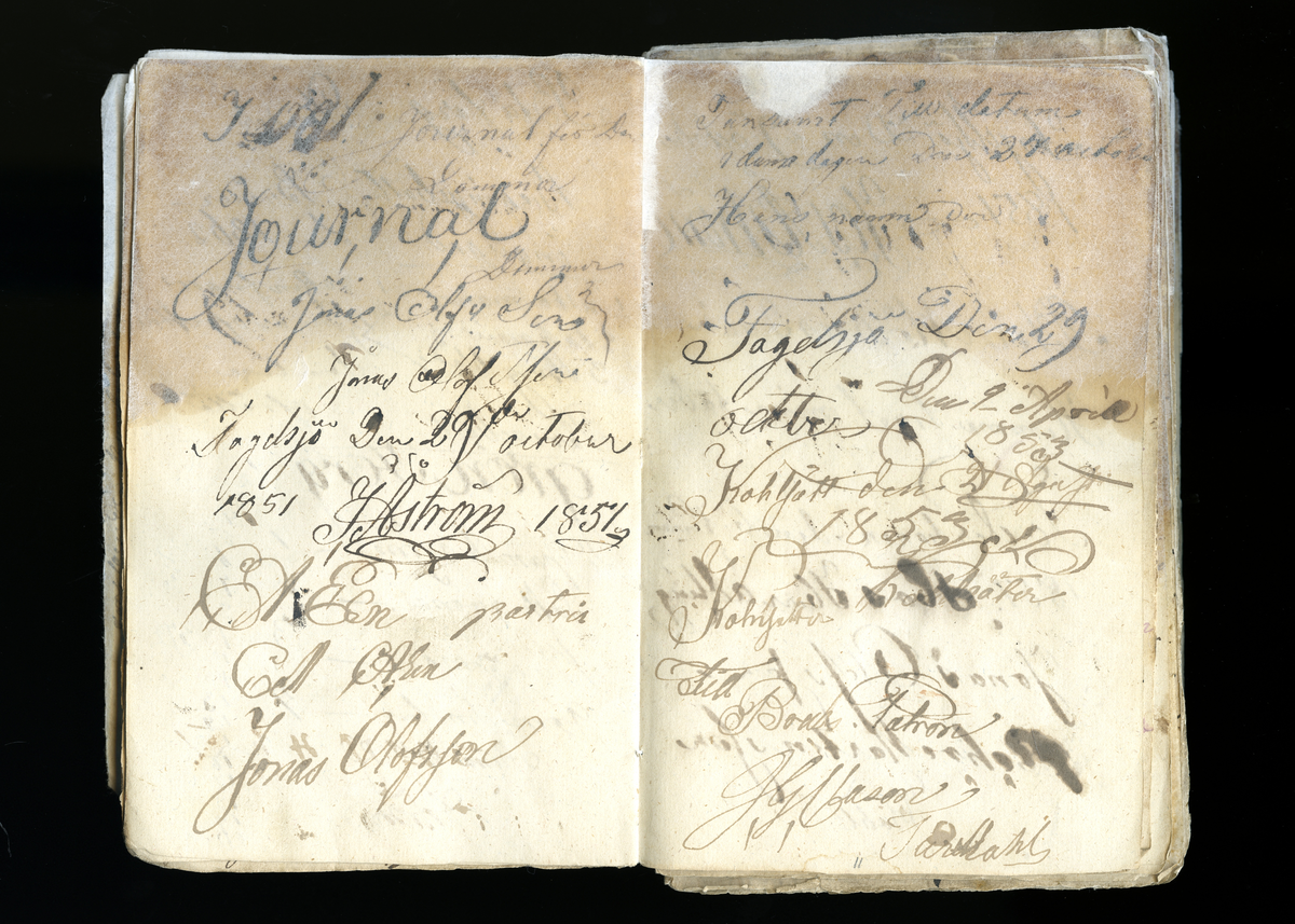 Dagböcker och andra anteckningar förda av storbonden och bössmeden Jonas Olsson (1832-1895) i Fågelsjö, Los mellan åren 1851 och 1892. Dagböckerna berör vardagens arbete, händelser i familjen och byn, förtretligheter, glädjeämnen och sorg. Böckerna förda i varierande frekvens med både dagliga och strödda anteckningar. Hela luckor år 1862-63, 1870-78, 1880-83 samt 1885-56. Dagboken förd i böcker med blandat innehåll, där dagboksanteckningarna är instoppade. Jonas Olssons dagboksanteckningar finns även transkriberade och publicerade i boken "Min hand är icke begåfvad att föra en skikliger penna", 2009.
