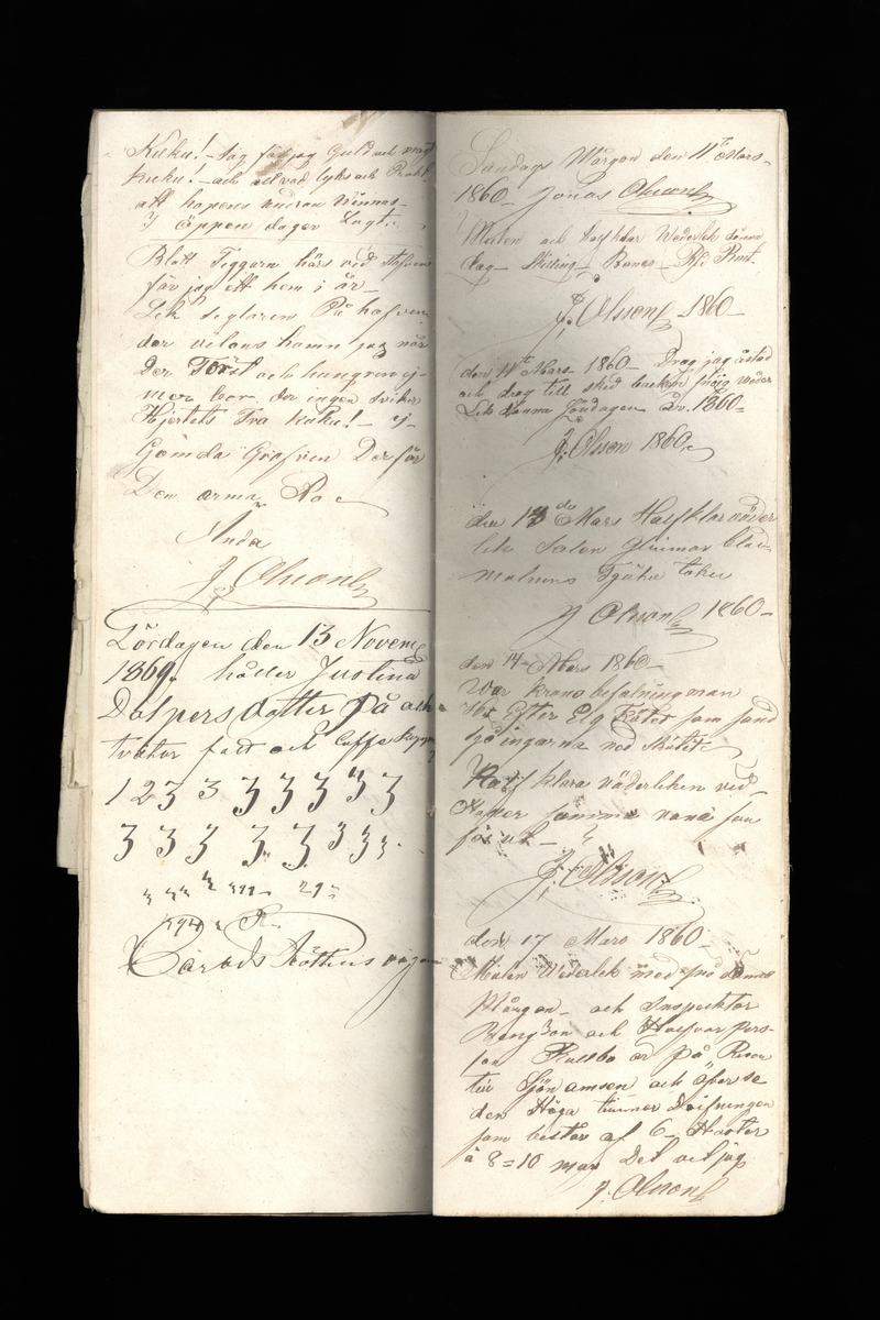Dagböcker och andra anteckningar förda av storbonden och bössmeden Jonas Olsson (1832-1895) i Fågelsjö, Los mellan åren 1851 och 1892. Dagböckerna berör vardagens arbete, händelser i familjen och byn, förtretligheter, glädjeämnen och sorg. Böckerna förda i varierande frekvens med både dagliga och strödda anteckningar. Hela luckor år 1862-63, 1870-78, 1880-83 samt 1885-56. Dagboken förd i böcker med blandat innehåll, där dagboksanteckningarna är instoppade. Jonas Olssons dagboksanteckningar finns även transkriberade och publicerade i boken "Min hand är icke begåfvad att föra en skikliger penna", 2009.
