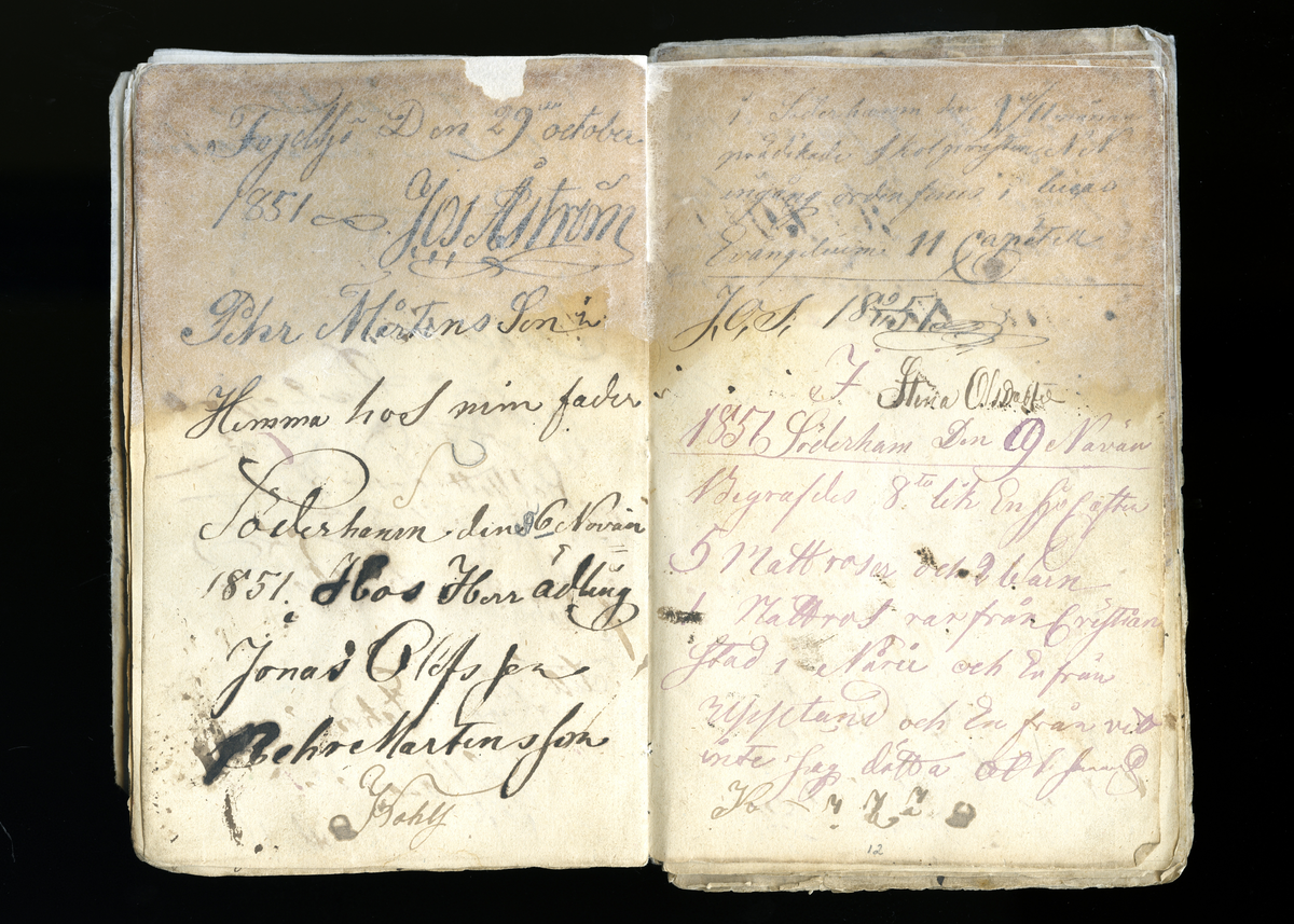 Dagböcker och andra anteckningar förda av storbonden och bössmeden Jonas Olsson (1832-1895) i Fågelsjö, Los mellan åren 1851 och 1892. Dagböckerna berör vardagens arbete, händelser i familjen och byn, förtretligheter, glädjeämnen och sorg. Böckerna förda i varierande frekvens med både dagliga och strödda anteckningar. Hela luckor år 1862-63, 1870-78, 1880-83 samt 1885-56. Dagboken förd i böcker med blandat innehåll, där dagboksanteckningarna är instoppade. Jonas Olssons dagboksanteckningar finns även transkriberade och publicerade i boken "Min hand är icke begåfvad att föra en skikliger penna", 2009.
