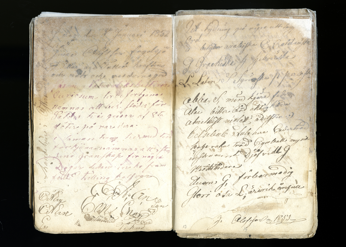 Dagböcker och andra anteckningar förda av storbonden och bössmeden Jonas Olsson (1832-1895) i Fågelsjö, Los mellan åren 1851 och 1892. Dagböckerna berör vardagens arbete, händelser i familjen och byn, förtretligheter, glädjeämnen och sorg. Böckerna förda i varierande frekvens med både dagliga och strödda anteckningar. Hela luckor år 1862-63, 1870-78, 1880-83 samt 1885-56. Dagboken förd i böcker med blandat innehåll, där dagboksanteckningarna är instoppade. Jonas Olssons dagboksanteckningar finns även transkriberade och publicerade i boken "Min hand är icke begåfvad att föra en skikliger penna", 2009.
