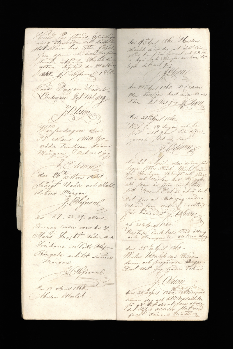 Dagböcker och andra anteckningar förda av storbonden och bössmeden Jonas Olsson (1832-1895) i Fågelsjö, Los mellan åren 1851 och 1892. Dagböckerna berör vardagens arbete, händelser i familjen och byn, förtretligheter, glädjeämnen och sorg. Böckerna förda i varierande frekvens med både dagliga och strödda anteckningar. Hela luckor år 1862-63, 1870-78, 1880-83 samt 1885-56. Dagboken förd i böcker med blandat innehåll, där dagboksanteckningarna är instoppade. Jonas Olssons dagboksanteckningar finns även transkriberade och publicerade i boken "Min hand är icke begåfvad att föra en skikliger penna", 2009.
