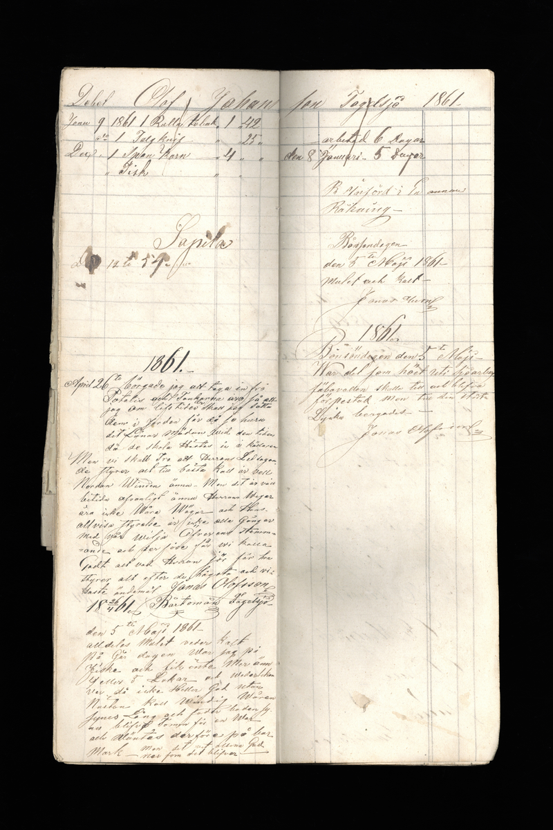 Dagböcker och andra anteckningar förda av storbonden och bössmeden Jonas Olsson (1832-1895) i Fågelsjö, Los mellan åren 1851 och 1892. Dagböckerna berör vardagens arbete, händelser i familjen och byn, förtretligheter, glädjeämnen och sorg. Böckerna förda i varierande frekvens med både dagliga och strödda anteckningar. Hela luckor år 1862-63, 1870-78, 1880-83 samt 1885-56. Dagboken förd i böcker med blandat innehåll, där dagboksanteckningarna är instoppade. Jonas Olssons dagboksanteckningar finns även transkriberade och publicerade i boken "Min hand är icke begåfvad att föra en skikliger penna", 2009.
