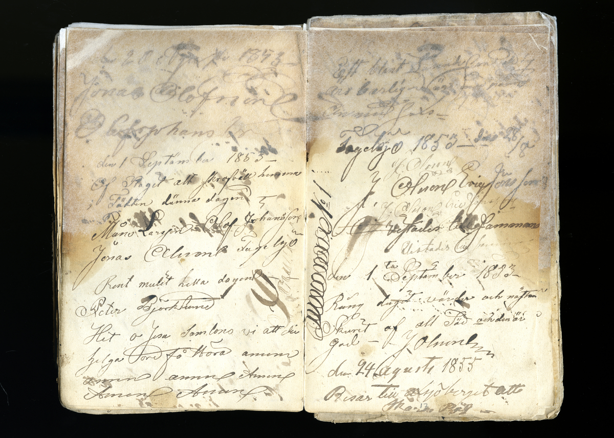 Dagböcker och andra anteckningar förda av storbonden och bössmeden Jonas Olsson (1832-1895) i Fågelsjö, Los mellan åren 1851 och 1892. Dagböckerna berör vardagens arbete, händelser i familjen och byn, förtretligheter, glädjeämnen och sorg. Böckerna förda i varierande frekvens med både dagliga och strödda anteckningar. Hela luckor år 1862-63, 1870-78, 1880-83 samt 1885-56. Dagboken förd i böcker med blandat innehåll, där dagboksanteckningarna är instoppade. Jonas Olssons dagboksanteckningar finns även transkriberade och publicerade i boken "Min hand är icke begåfvad att föra en skikliger penna", 2009.
