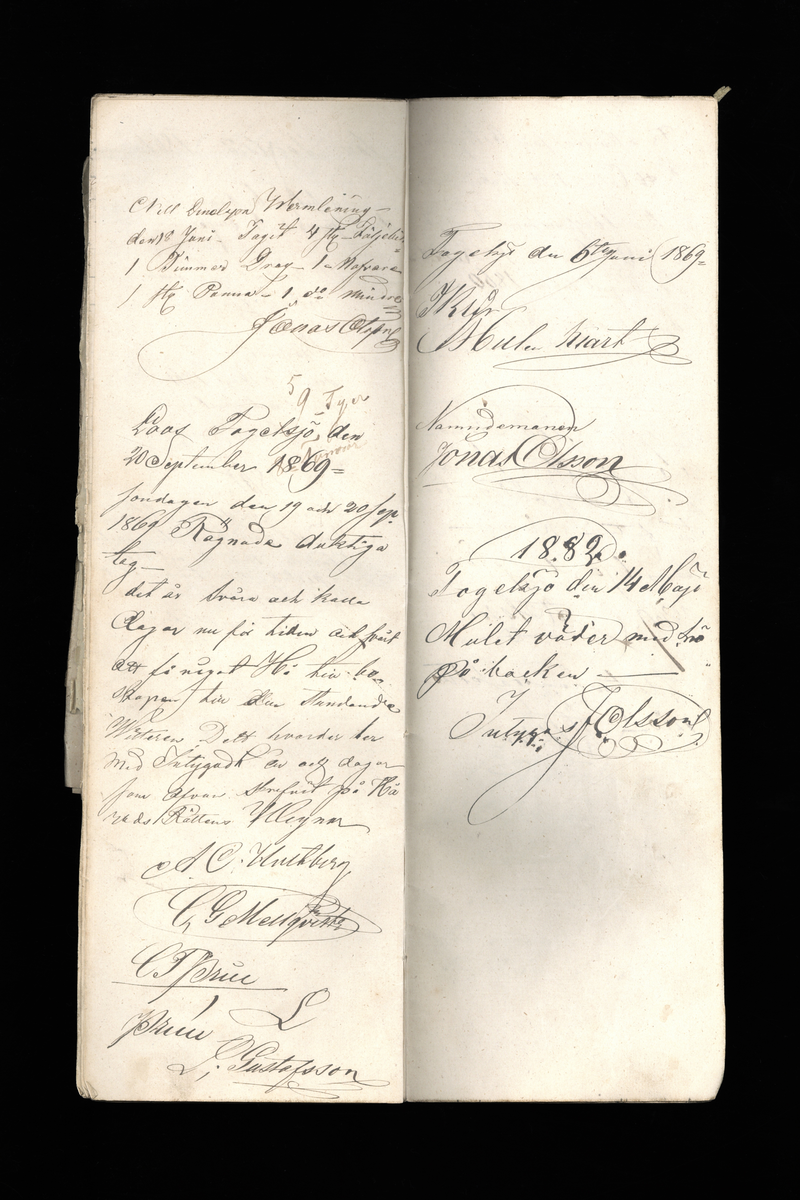 Dagböcker och andra anteckningar förda av storbonden och bössmeden Jonas Olsson (1832-1895) i Fågelsjö, Los mellan åren 1851 och 1892. Dagböckerna berör vardagens arbete, händelser i familjen och byn, förtretligheter, glädjeämnen och sorg. Böckerna förda i varierande frekvens med både dagliga och strödda anteckningar. Hela luckor år 1862-63, 1870-78, 1880-83 samt 1885-56. Dagboken förd i böcker med blandat innehåll, där dagboksanteckningarna är instoppade. Jonas Olssons dagboksanteckningar finns även transkriberade och publicerade i boken "Min hand är icke begåfvad att föra en skikliger penna", 2009.
