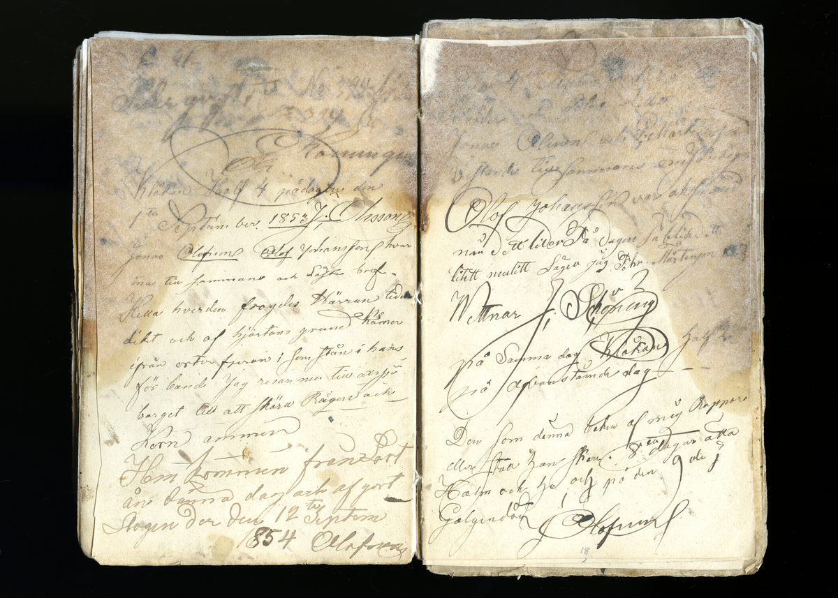 Dagböcker och andra anteckningar förda av storbonden och bössmeden Jonas Olsson (1832-1895) i Fågelsjö, Los mellan åren 1851 och 1892. Dagböckerna berör vardagens arbete, händelser i familjen och byn, förtretligheter, glädjeämnen och sorg. Böckerna förda i varierande frekvens med både dagliga och strödda anteckningar. Hela luckor år 1862-63, 1870-78, 1880-83 samt 1885-56. Dagboken förd i böcker med blandat innehåll, där dagboksanteckningarna är instoppade. Jonas Olssons dagboksanteckningar finns även transkriberade och publicerade i boken "Min hand är icke begåfvad att föra en skikliger penna", 2009.
