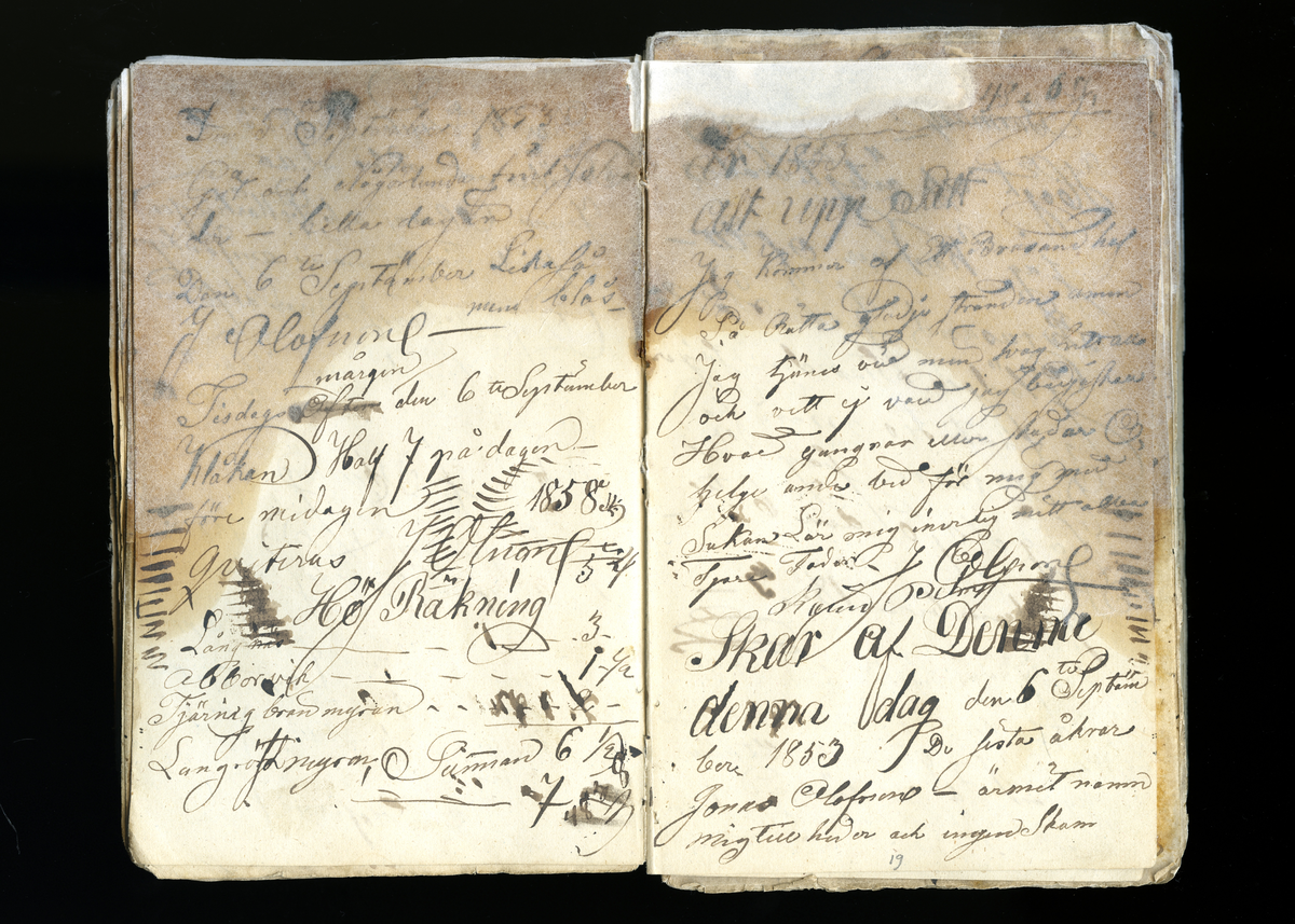 Dagböcker och andra anteckningar förda av storbonden och bössmeden Jonas Olsson (1832-1895) i Fågelsjö, Los mellan åren 1851 och 1892. Dagböckerna berör vardagens arbete, händelser i familjen och byn, förtretligheter, glädjeämnen och sorg. Böckerna förda i varierande frekvens med både dagliga och strödda anteckningar. Hela luckor år 1862-63, 1870-78, 1880-83 samt 1885-56. Dagboken förd i böcker med blandat innehåll, där dagboksanteckningarna är instoppade. Jonas Olssons dagboksanteckningar finns även transkriberade och publicerade i boken "Min hand är icke begåfvad att föra en skikliger penna", 2009.
