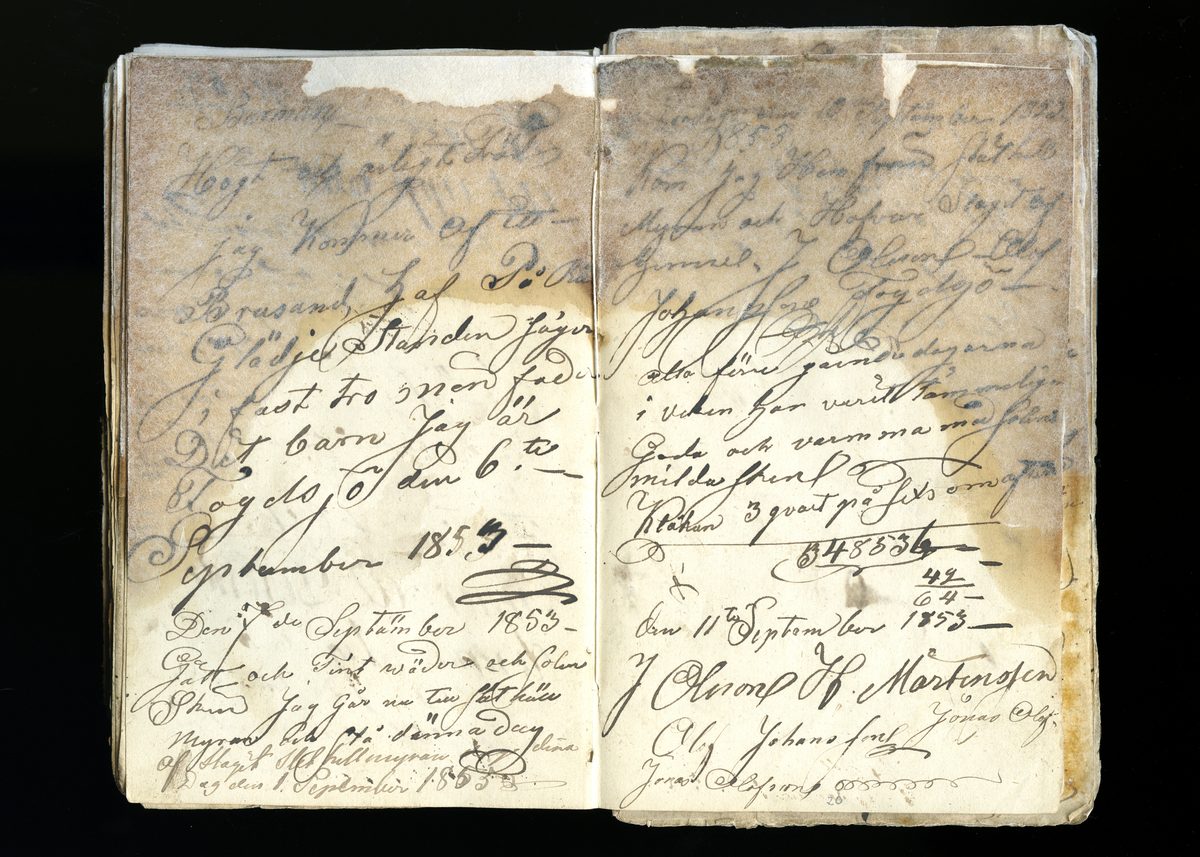 Dagböcker och andra anteckningar förda av storbonden och bössmeden Jonas Olsson (1832-1895) i Fågelsjö, Los mellan åren 1851 och 1892. Dagböckerna berör vardagens arbete, händelser i familjen och byn, förtretligheter, glädjeämnen och sorg. Böckerna förda i varierande frekvens med både dagliga och strödda anteckningar. Hela luckor år 1862-63, 1870-78, 1880-83 samt 1885-56. Dagboken förd i böcker med blandat innehåll, där dagboksanteckningarna är instoppade. Jonas Olssons dagboksanteckningar finns även transkriberade och publicerade i boken "Min hand är icke begåfvad att föra en skikliger penna", 2009.
