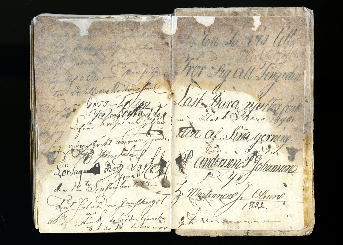 Dagböcker och andra anteckningar förda av storbonden och bössmeden Jonas Olsson (1832-1895) i Fågelsjö, Los mellan åren 1851 och 1892. Dagböckerna berör vardagens arbete, händelser i familjen och byn, förtretligheter, glädjeämnen och sorg. Böckerna förda i varierande frekvens med både dagliga och strödda anteckningar. Hela luckor år 1862-63, 1870-78, 1880-83 samt 1885-56. Dagboken förd i böcker med blandat innehåll, där dagboksanteckningarna är instoppade. Jonas Olssons dagboksanteckningar finns även transkriberade och publicerade i boken "Min hand är icke begåfvad att föra en skikliger penna", 2009.
