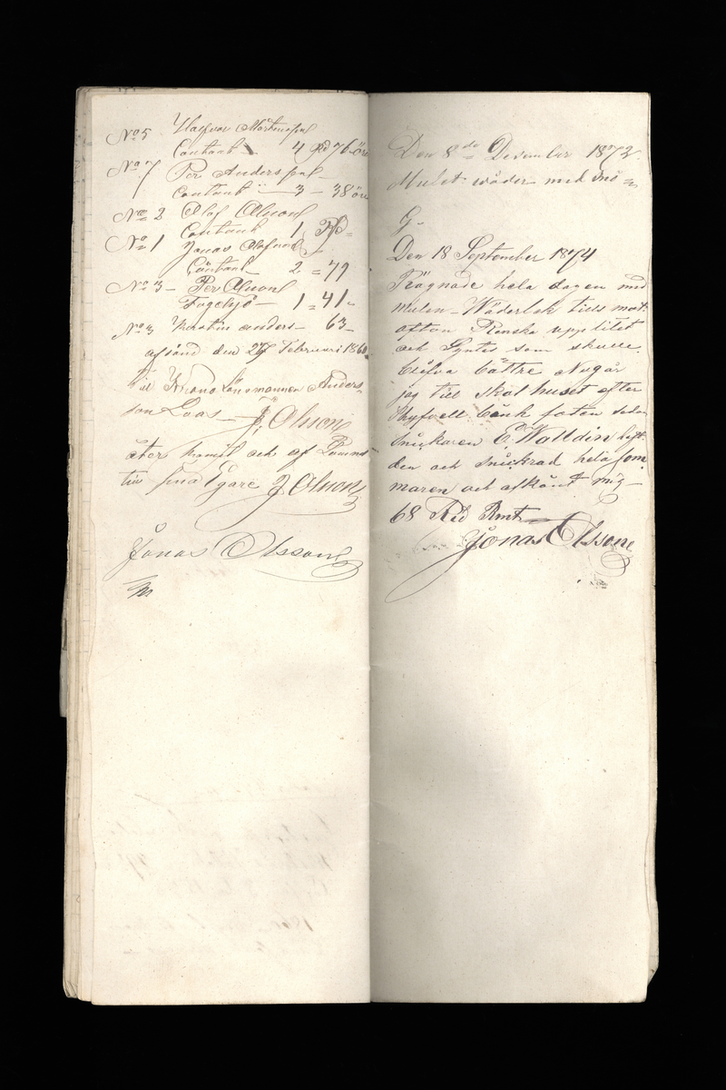 Dagböcker och andra anteckningar förda av storbonden och bössmeden Jonas Olsson (1832-1895) i Fågelsjö, Los mellan åren 1851 och 1892. Dagböckerna berör vardagens arbete, händelser i familjen och byn, förtretligheter, glädjeämnen och sorg. Böckerna förda i varierande frekvens med både dagliga och strödda anteckningar. Hela luckor år 1862-63, 1870-78, 1880-83 samt 1885-56. Dagboken förd i böcker med blandat innehåll, där dagboksanteckningarna är instoppade. Jonas Olssons dagboksanteckningar finns även transkriberade och publicerade i boken "Min hand är icke begåfvad att föra en skikliger penna", 2009.
