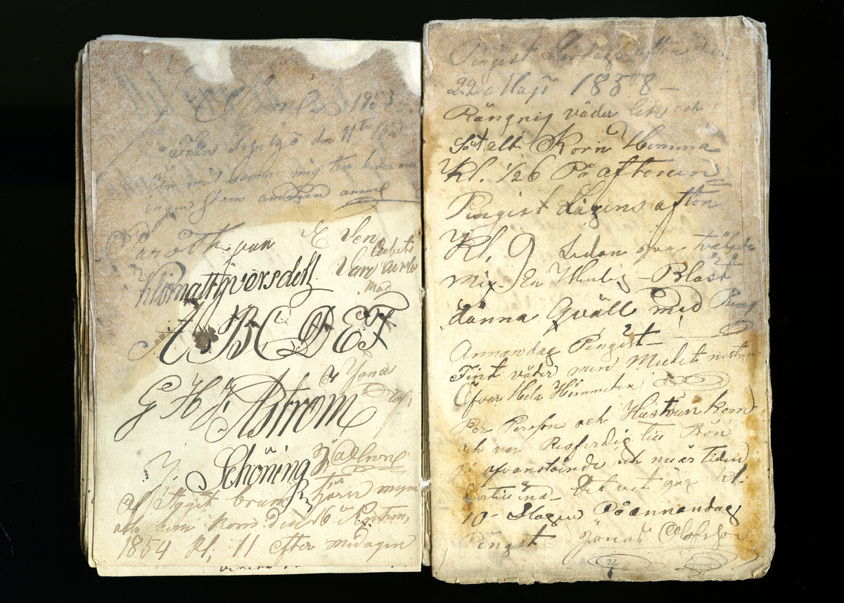 Dagböcker och andra anteckningar förda av storbonden och bössmeden Jonas Olsson (1832-1895) i Fågelsjö, Los mellan åren 1851 och 1892. Dagböckerna berör vardagens arbete, händelser i familjen och byn, förtretligheter, glädjeämnen och sorg. Böckerna förda i varierande frekvens med både dagliga och strödda anteckningar. Hela luckor år 1862-63, 1870-78, 1880-83 samt 1885-56. Dagboken förd i böcker med blandat innehåll, där dagboksanteckningarna är instoppade. Jonas Olssons dagboksanteckningar finns även transkriberade och publicerade i boken "Min hand är icke begåfvad att föra en skikliger penna", 2009.
