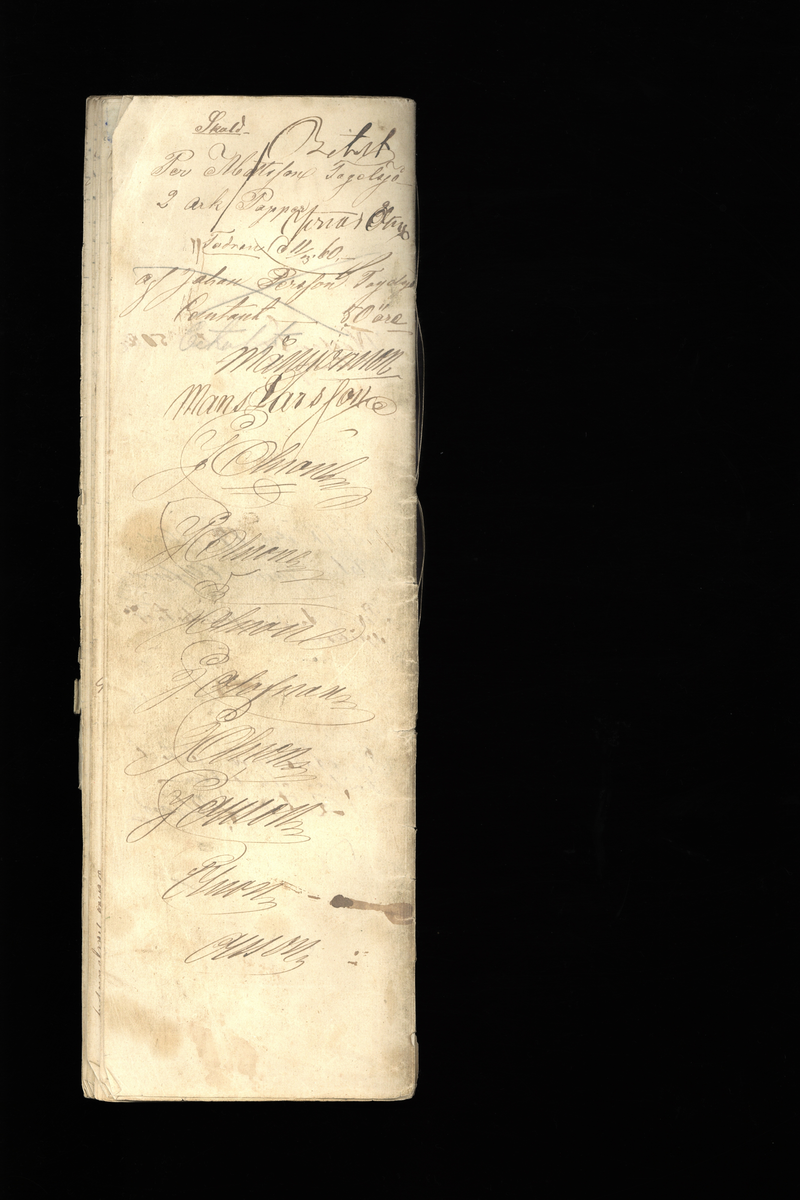 Dagböcker och andra anteckningar förda av storbonden och bössmeden Jonas Olsson (1832-1895) i Fågelsjö, Los mellan åren 1851 och 1892. Dagböckerna berör vardagens arbete, händelser i familjen och byn, förtretligheter, glädjeämnen och sorg. Böckerna förda i varierande frekvens med både dagliga och strödda anteckningar. Hela luckor år 1862-63, 1870-78, 1880-83 samt 1885-56. Dagboken förd i böcker med blandat innehåll, där dagboksanteckningarna är instoppade. Jonas Olssons dagboksanteckningar finns även transkriberade och publicerade i boken "Min hand är icke begåfvad att föra en skikliger penna", 2009.
