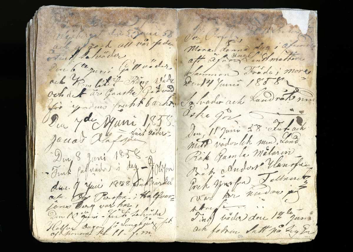 Dagböcker och andra anteckningar förda av storbonden och bössmeden Jonas Olsson (1832-1895) i Fågelsjö, Los mellan åren 1851 och 1892. Dagböckerna berör vardagens arbete, händelser i familjen och byn, förtretligheter, glädjeämnen och sorg. Böckerna förda i varierande frekvens med både dagliga och strödda anteckningar. Hela luckor år 1862-63, 1870-78, 1880-83 samt 1885-56. Dagboken förd i böcker med blandat innehåll, där dagboksanteckningarna är instoppade. Jonas Olssons dagboksanteckningar finns även transkriberade och publicerade i boken "Min hand är icke begåfvad att föra en skikliger penna", 2009.
