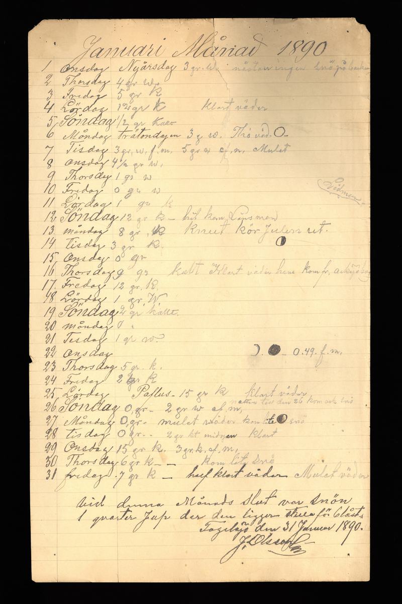 Dagböcker och andra anteckningar förda av storbonden och bössmeden Jonas Olsson (1832-1895) i Fågelsjö, Los mellan åren 1851 och 1892. Dagböckerna berör vardagens arbete, händelser i familjen och byn, förtretligheter, glädjeämnen och sorg. Böckerna förda i varierande frekvens med både dagliga och strödda anteckningar. Hela luckor år 1862-63, 1870-78, 1880-83 samt 1885-56. Dagboken förd i böcker med blandat innehåll, där dagboksanteckningarna är instoppade. Jonas Olssons dagboksanteckningar finns även transkriberade och publicerade i boken "Min hand är icke begåfvad att föra en skikliger penna", 2009.
