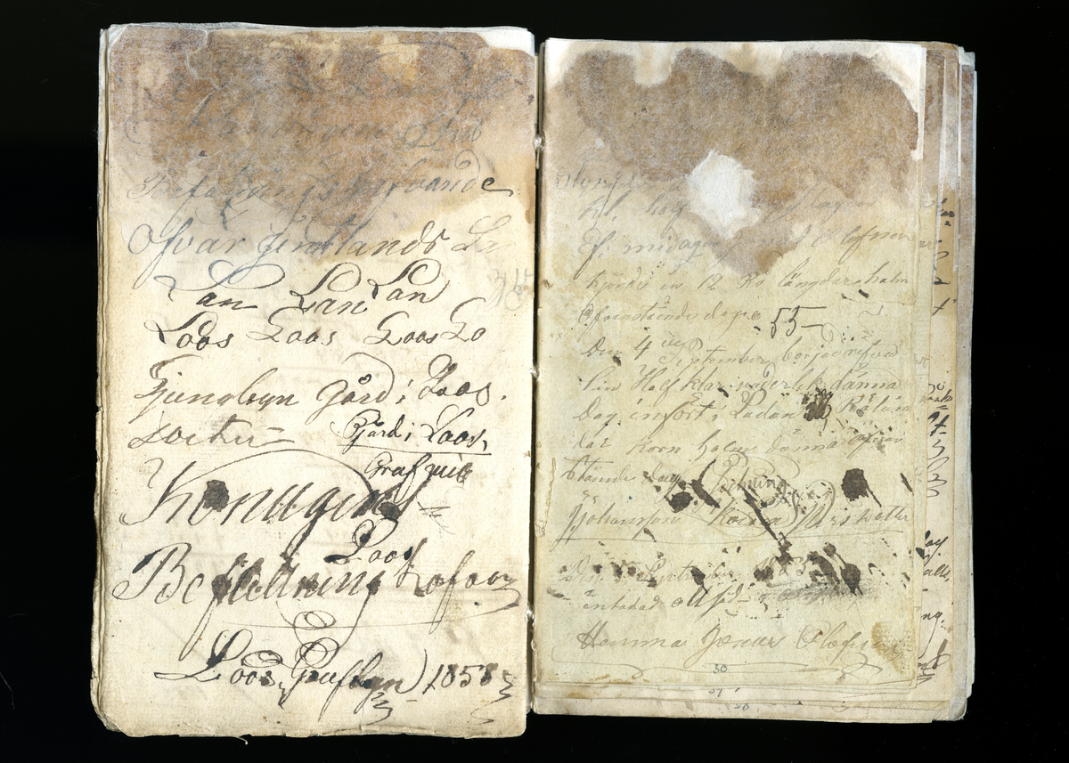 Dagböcker och andra anteckningar förda av storbonden och bössmeden Jonas Olsson (1832-1895) i Fågelsjö, Los mellan åren 1851 och 1892. Dagböckerna berör vardagens arbete, händelser i familjen och byn, förtretligheter, glädjeämnen och sorg. Böckerna förda i varierande frekvens med både dagliga och strödda anteckningar. Hela luckor år 1862-63, 1870-78, 1880-83 samt 1885-56. Dagboken förd i böcker med blandat innehåll, där dagboksanteckningarna är instoppade. Jonas Olssons dagboksanteckningar finns även transkriberade och publicerade i boken "Min hand är icke begåfvad att föra en skikliger penna", 2009.
