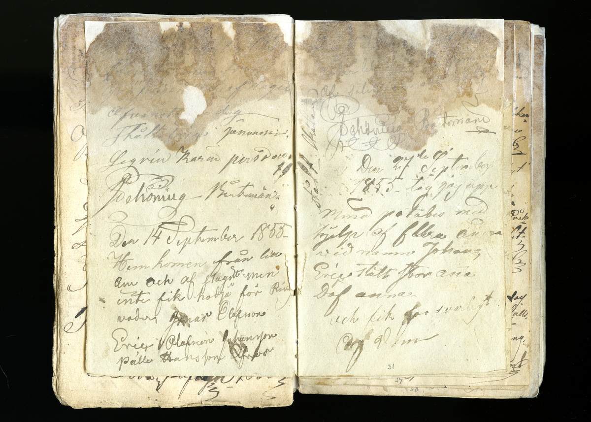 Dagböcker och andra anteckningar förda av storbonden och bössmeden Jonas Olsson (1832-1895) i Fågelsjö, Los mellan åren 1851 och 1892. Dagböckerna berör vardagens arbete, händelser i familjen och byn, förtretligheter, glädjeämnen och sorg. Böckerna förda i varierande frekvens med både dagliga och strödda anteckningar. Hela luckor år 1862-63, 1870-78, 1880-83 samt 1885-56. Dagboken förd i böcker med blandat innehåll, där dagboksanteckningarna är instoppade. Jonas Olssons dagboksanteckningar finns även transkriberade och publicerade i boken "Min hand är icke begåfvad att föra en skikliger penna", 2009.
