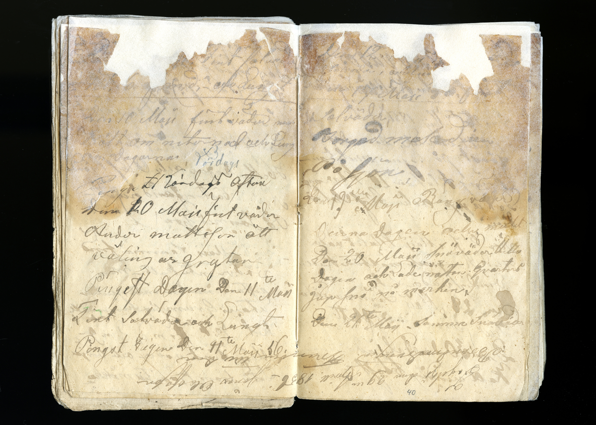 Dagböcker och andra anteckningar förda av storbonden och bössmeden Jonas Olsson (1832-1895) i Fågelsjö, Los mellan åren 1851 och 1892. Dagböckerna berör vardagens arbete, händelser i familjen och byn, förtretligheter, glädjeämnen och sorg. Böckerna förda i varierande frekvens med både dagliga och strödda anteckningar. Hela luckor år 1862-63, 1870-78, 1880-83 samt 1885-56. Dagboken förd i böcker med blandat innehåll, där dagboksanteckningarna är instoppade. Jonas Olssons dagboksanteckningar finns även transkriberade och publicerade i boken "Min hand är icke begåfvad att föra en skikliger penna", 2009.
