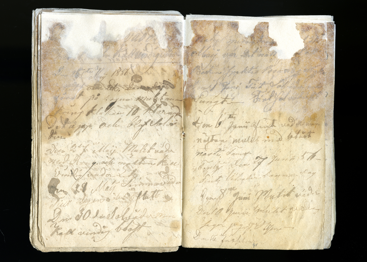 Dagböcker och andra anteckningar förda av storbonden och bössmeden Jonas Olsson (1832-1895) i Fågelsjö, Los mellan åren 1851 och 1892. Dagböckerna berör vardagens arbete, händelser i familjen och byn, förtretligheter, glädjeämnen och sorg. Böckerna förda i varierande frekvens med både dagliga och strödda anteckningar. Hela luckor år 1862-63, 1870-78, 1880-83 samt 1885-56. Dagboken förd i böcker med blandat innehåll, där dagboksanteckningarna är instoppade. Jonas Olssons dagboksanteckningar finns även transkriberade och publicerade i boken "Min hand är icke begåfvad att föra en skikliger penna", 2009.
