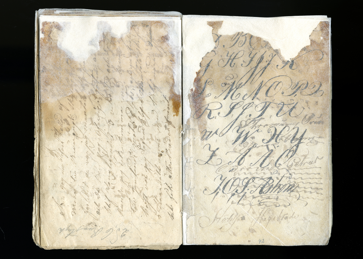 Dagböcker och andra anteckningar förda av storbonden och bössmeden Jonas Olsson (1832-1895) i Fågelsjö, Los mellan åren 1851 och 1892. Dagböckerna berör vardagens arbete, händelser i familjen och byn, förtretligheter, glädjeämnen och sorg. Böckerna förda i varierande frekvens med både dagliga och strödda anteckningar. Hela luckor år 1862-63, 1870-78, 1880-83 samt 1885-56. Dagboken förd i böcker med blandat innehåll, där dagboksanteckningarna är instoppade. Jonas Olssons dagboksanteckningar finns även transkriberade och publicerade i boken "Min hand är icke begåfvad att föra en skikliger penna", 2009.
