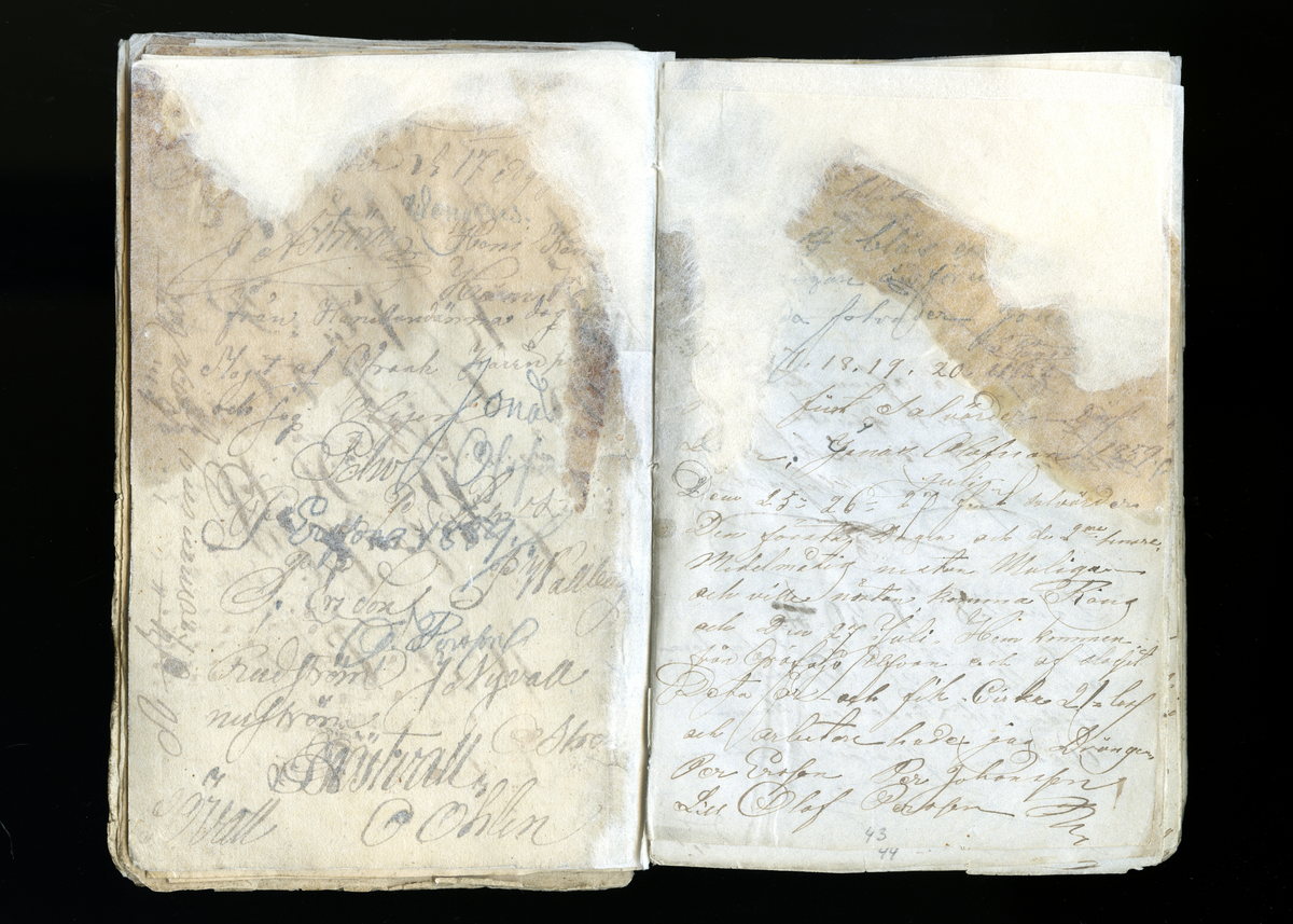 Dagböcker och andra anteckningar förda av storbonden och bössmeden Jonas Olsson (1832-1895) i Fågelsjö, Los mellan åren 1851 och 1892. Dagböckerna berör vardagens arbete, händelser i familjen och byn, förtretligheter, glädjeämnen och sorg. Böckerna förda i varierande frekvens med både dagliga och strödda anteckningar. Hela luckor år 1862-63, 1870-78, 1880-83 samt 1885-56. Dagboken förd i böcker med blandat innehåll, där dagboksanteckningarna är instoppade. Jonas Olssons dagboksanteckningar finns även transkriberade och publicerade i boken "Min hand är icke begåfvad att föra en skikliger penna", 2009.
