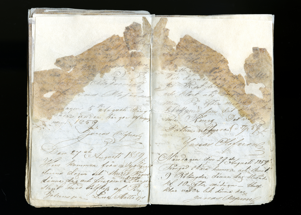 Dagböcker och andra anteckningar förda av storbonden och bössmeden Jonas Olsson (1832-1895) i Fågelsjö, Los mellan åren 1851 och 1892. Dagböckerna berör vardagens arbete, händelser i familjen och byn, förtretligheter, glädjeämnen och sorg. Böckerna förda i varierande frekvens med både dagliga och strödda anteckningar. Hela luckor år 1862-63, 1870-78, 1880-83 samt 1885-56. Dagboken förd i böcker med blandat innehåll, där dagboksanteckningarna är instoppade. Jonas Olssons dagboksanteckningar finns även transkriberade och publicerade i boken "Min hand är icke begåfvad att föra en skikliger penna", 2009.
