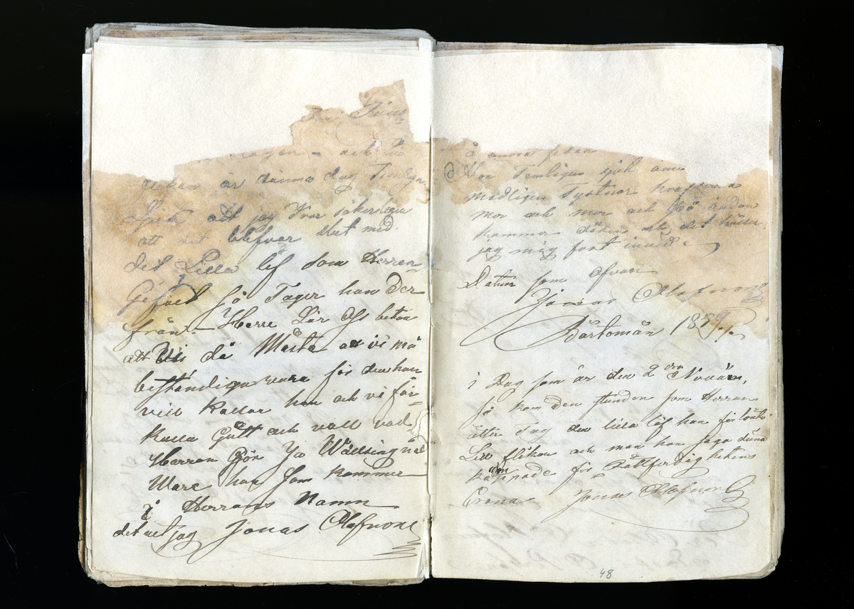 Dagböcker och andra anteckningar förda av storbonden och bössmeden Jonas Olsson (1832-1895) i Fågelsjö, Los mellan åren 1851 och 1892. Dagböckerna berör vardagens arbete, händelser i familjen och byn, förtretligheter, glädjeämnen och sorg. Böckerna förda i varierande frekvens med både dagliga och strödda anteckningar. Hela luckor år 1862-63, 1870-78, 1880-83 samt 1885-56. Dagboken förd i böcker med blandat innehåll, där dagboksanteckningarna är instoppade. Jonas Olssons dagboksanteckningar finns även transkriberade och publicerade i boken "Min hand är icke begåfvad att föra en skikliger penna", 2009.
