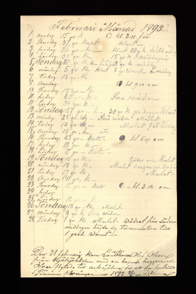 Dagböcker och andra anteckningar förda av storbonden och bössmeden Jonas Olsson (1832-1895) i Fågelsjö, Los mellan åren 1851 och 1892. Dagböckerna berör vardagens arbete, händelser i familjen och byn, förtretligheter, glädjeämnen och sorg. Böckerna förda i varierande frekvens med både dagliga och strödda anteckningar. Hela luckor år 1862-63, 1870-78, 1880-83 samt 1885-56. Dagboken förd i böcker med blandat innehåll, där dagboksanteckningarna är instoppade. Jonas Olssons dagboksanteckningar finns även transkriberade och publicerade i boken "Min hand är icke begåfvad att föra en skikliger penna", 2009.
