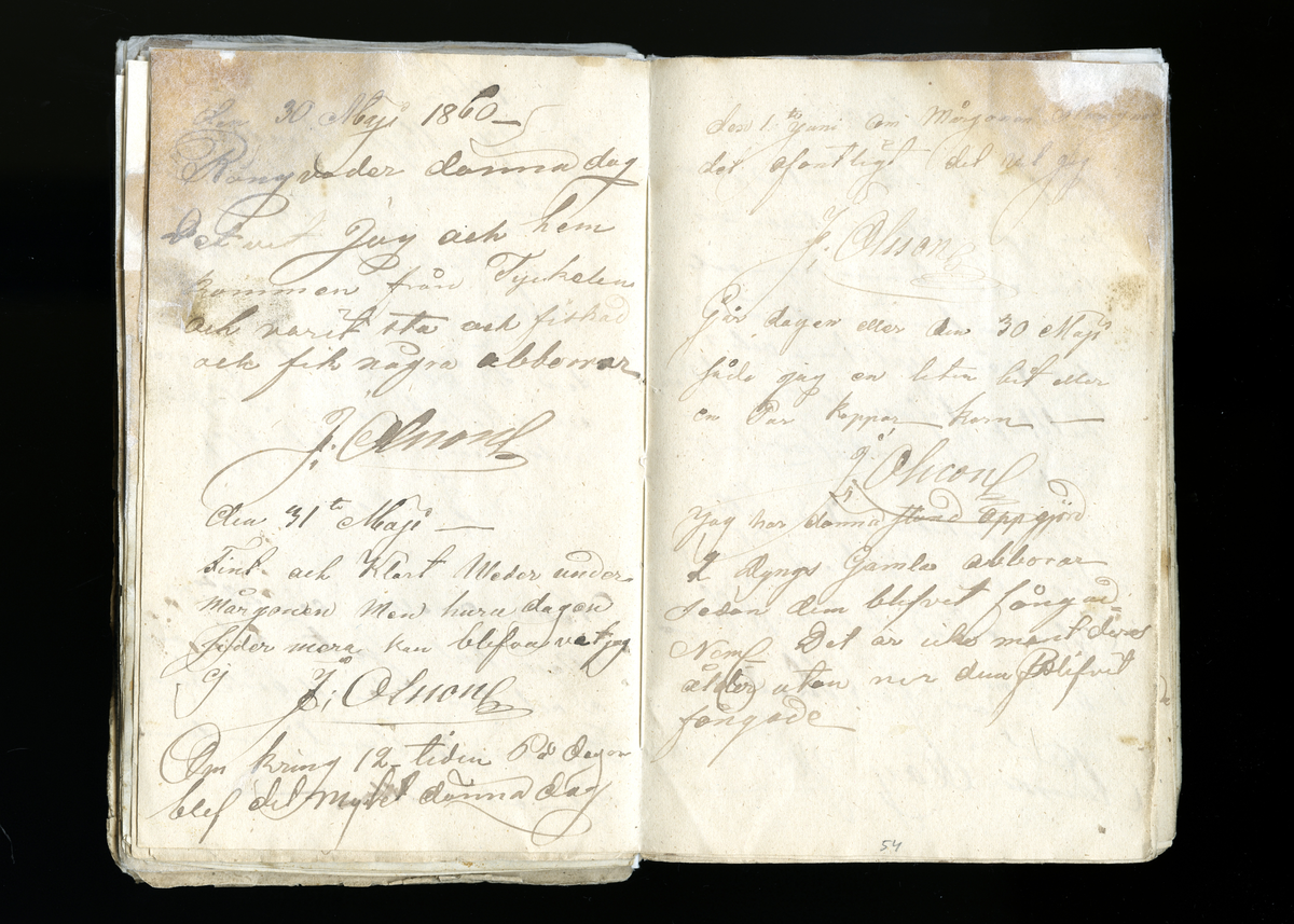 Dagböcker och andra anteckningar förda av storbonden och bössmeden Jonas Olsson (1832-1895) i Fågelsjö, Los mellan åren 1851 och 1892. Dagböckerna berör vardagens arbete, händelser i familjen och byn, förtretligheter, glädjeämnen och sorg. Böckerna förda i varierande frekvens med både dagliga och strödda anteckningar. Hela luckor år 1862-63, 1870-78, 1880-83 samt 1885-56. Dagboken förd i böcker med blandat innehåll, där dagboksanteckningarna är instoppade. Jonas Olssons dagboksanteckningar finns även transkriberade och publicerade i boken "Min hand är icke begåfvad att föra en skikliger penna", 2009.
